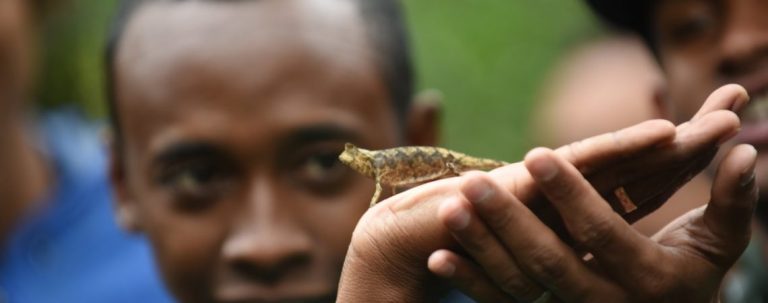 carabrooknatgeo